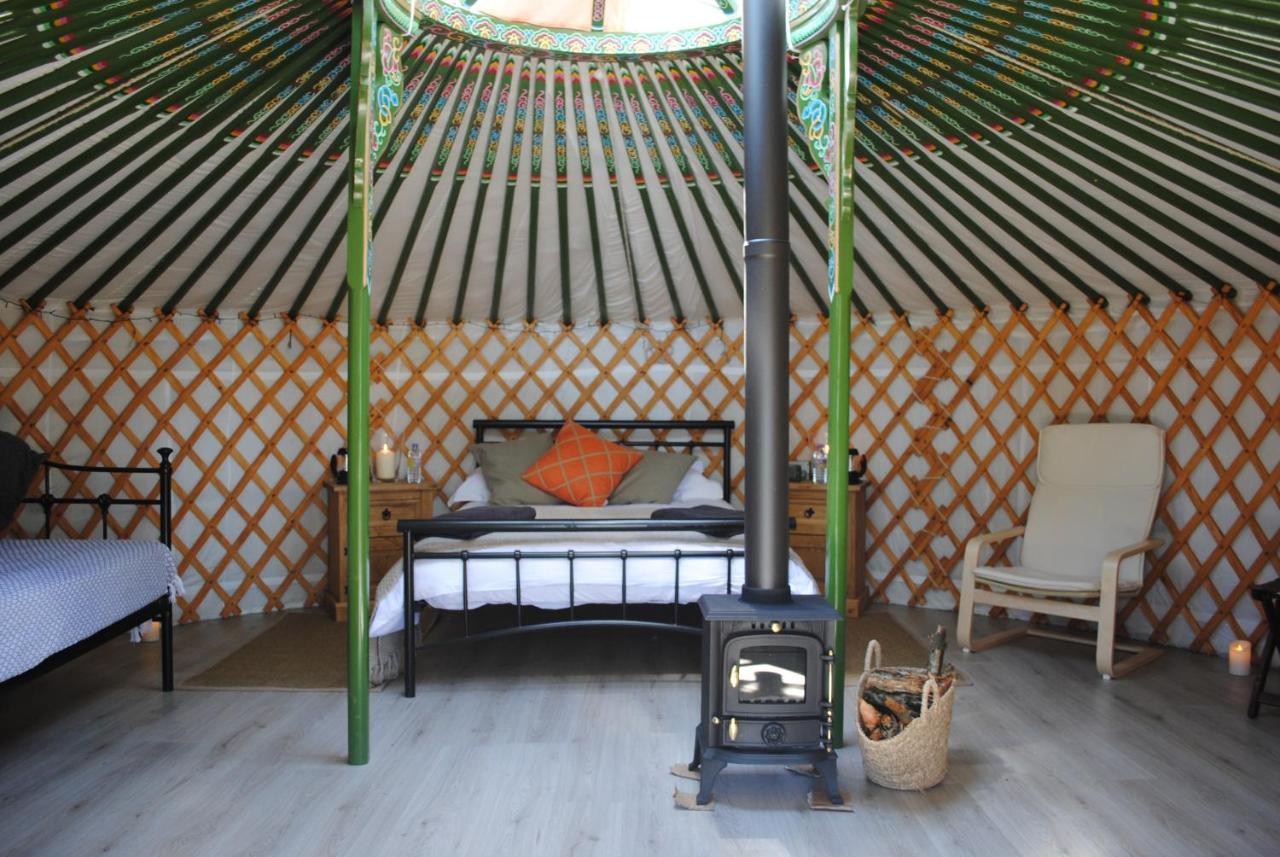 Penbedw Uchaf Estate - Rural Retreats, Tennis Mold Ngoại thất bức ảnh