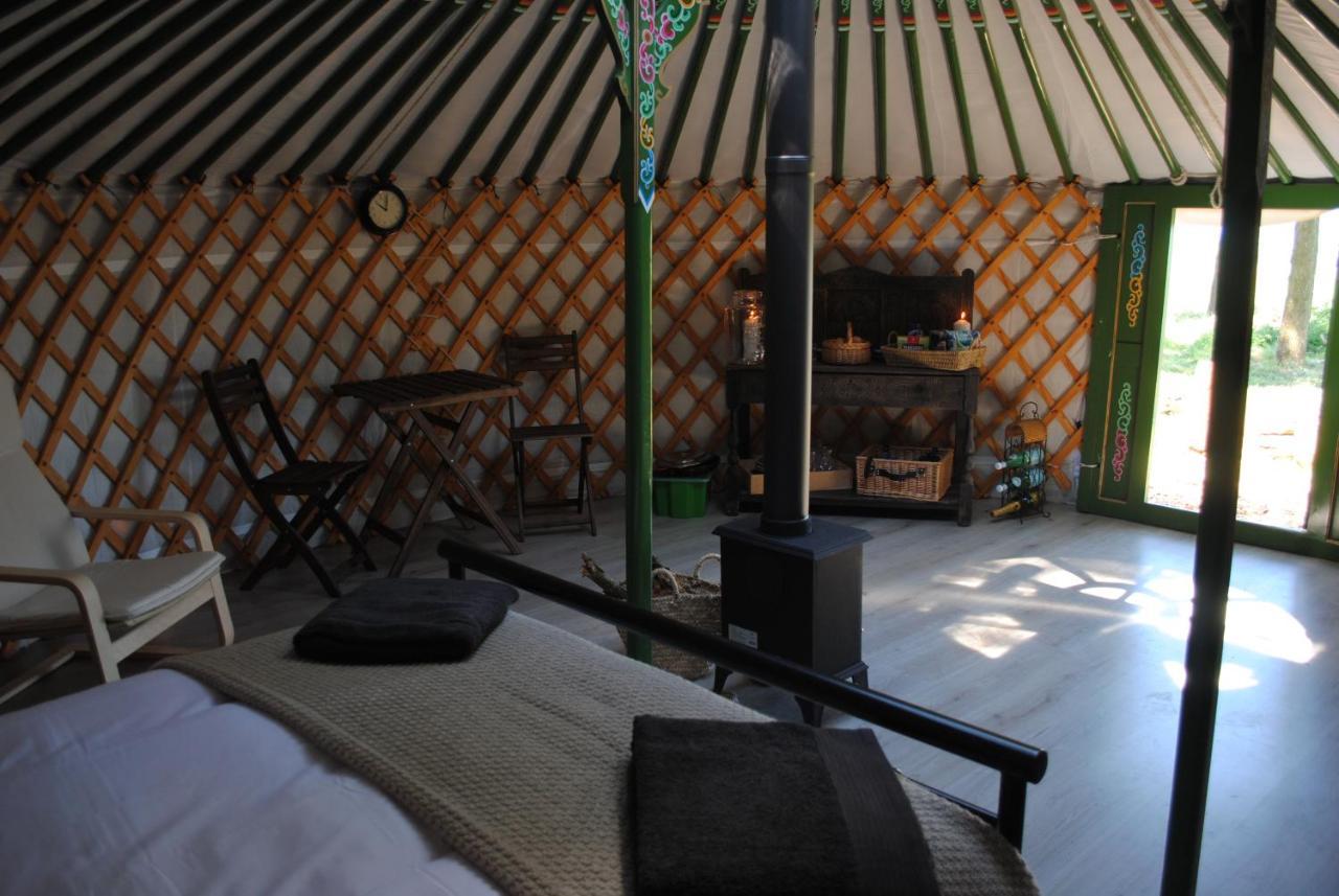 Penbedw Uchaf Estate - Rural Retreats, Tennis Mold Ngoại thất bức ảnh