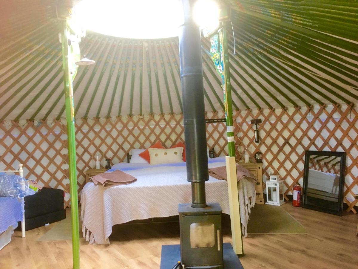 Penbedw Uchaf Estate - Rural Retreats, Tennis Mold Ngoại thất bức ảnh