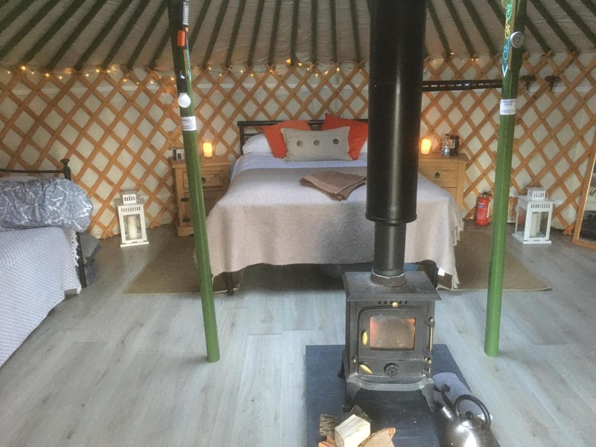 Penbedw Uchaf Estate - Rural Retreats, Tennis Mold Ngoại thất bức ảnh